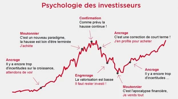 psychologie investisseur. 